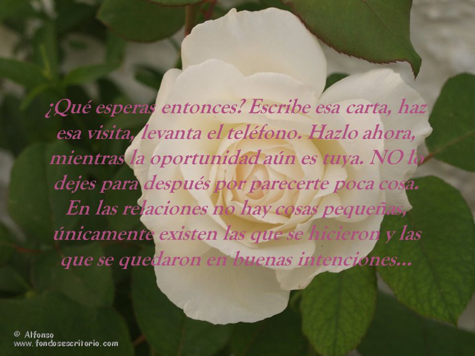¿Qué esperas entonces. Escribe esa carta, haz esa visita, levanta el teléfono.