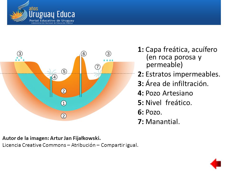 1: Capa freática, acuífero (en roca porosa y permeable) 2: Estratos impermeables. 3: Área de infiltración. 4: Pozo Artesiano 5: Nivel freático. 6: Pozo. 7: Manantial.