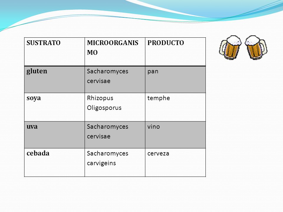 SUSTRATO MICROORGANISMO. PRODUCTO. gluten. Sacharomyces cervisae. pan. soya. Rhizopus Oligosporus.