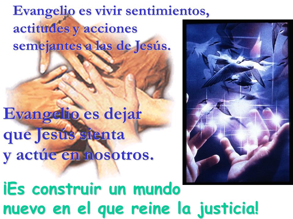 Evangelio es dejar que Jesús sienta y actúe en nosotros.