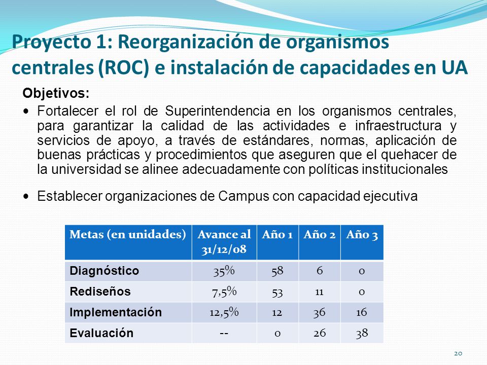Proyecto 1: Reorganización de organismos centrales (ROC) e instalación de capacidades en UA