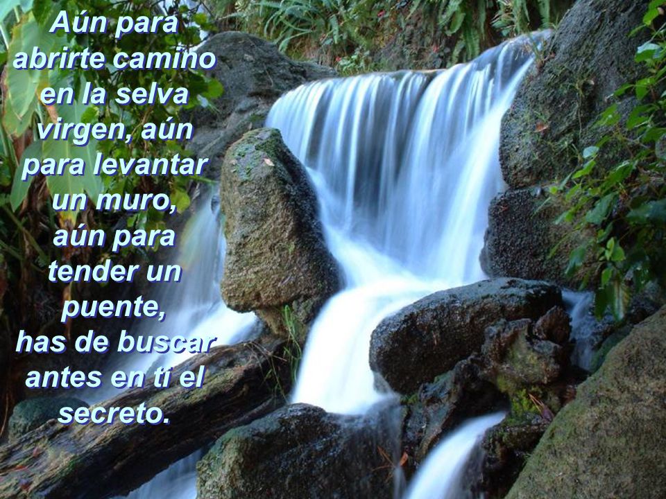Aún para abrirte camino en la selva virgen, aún para levantar un muro, aún para tender un puente, has de buscar antes en ti el secreto.