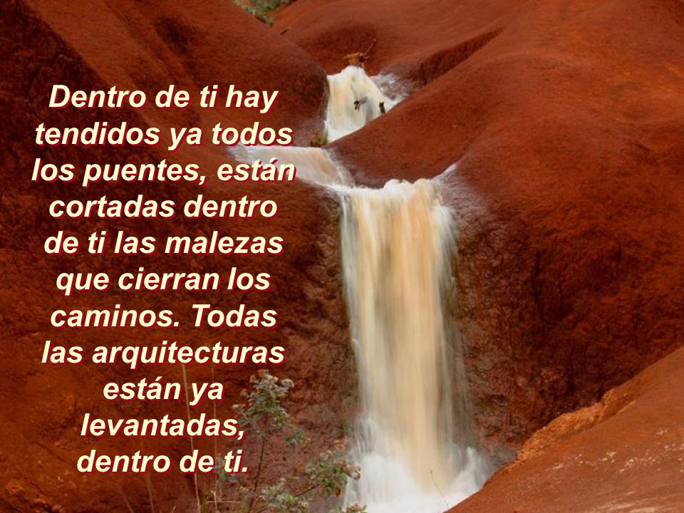 Dentro de ti hay tendidos ya todos los puentes, están cortadas dentro de ti las malezas que cierran los caminos.