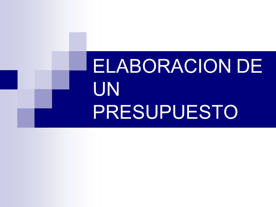 ELABORACION DE UN PRESUPUESTO