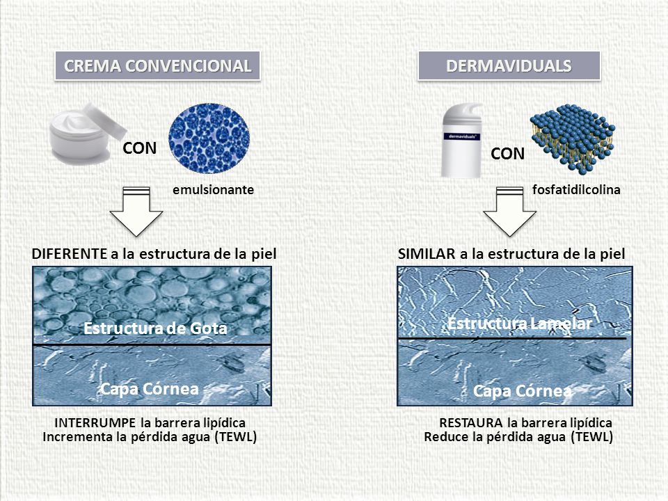 CREMA CONVENCIONAL DERMAVIDUALS CON CON Estructura de Gota Capa Córnea