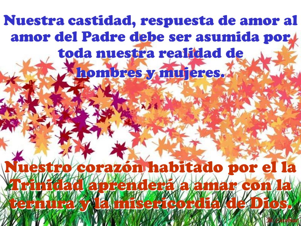 Nuestra castidad, respuesta de amor al amor del Padre debe ser asumida por toda nuestra realidad de