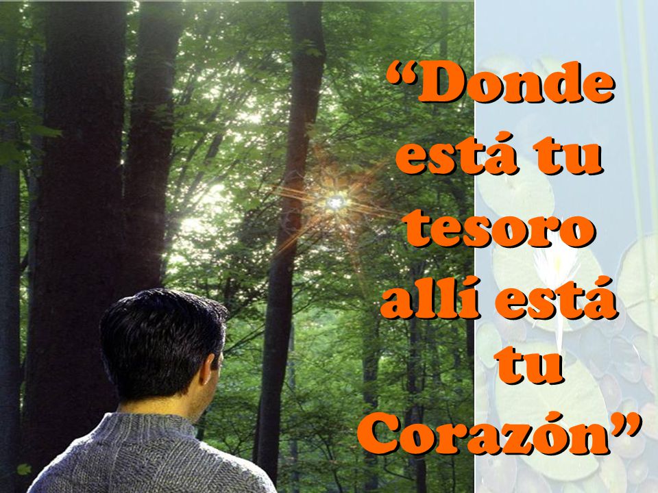 Donde está tu tesoro allí está tu Corazón