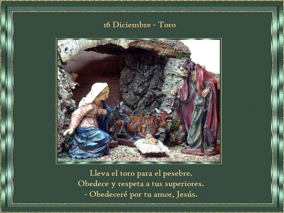 Lleva el toro para el pesebre. Obedece y respeta a tus superiores.