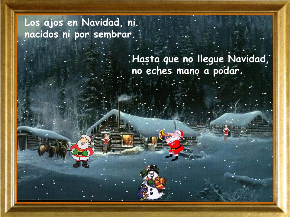 Los ajos en Navidad, ni nacidos ni por sembrar.