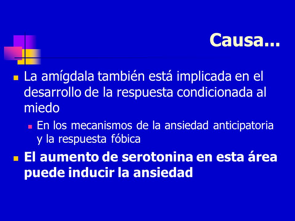 Causa... La amígdala también está implicada en el desarrollo de la respuesta condicionada al miedo.