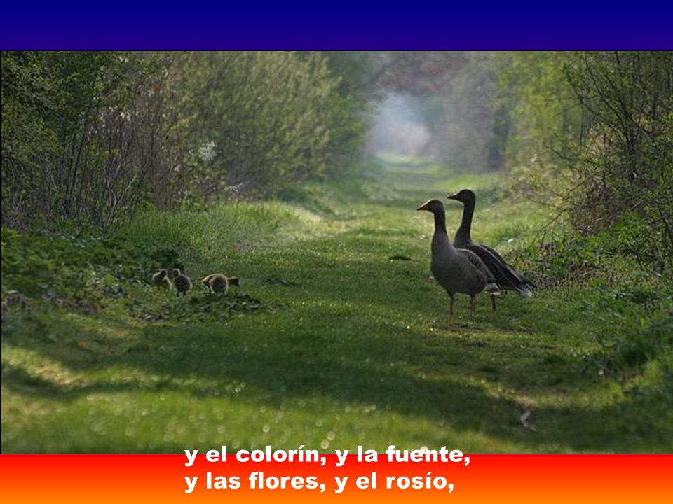 y el colorín, y la fuente, y las flores, y el rosío,