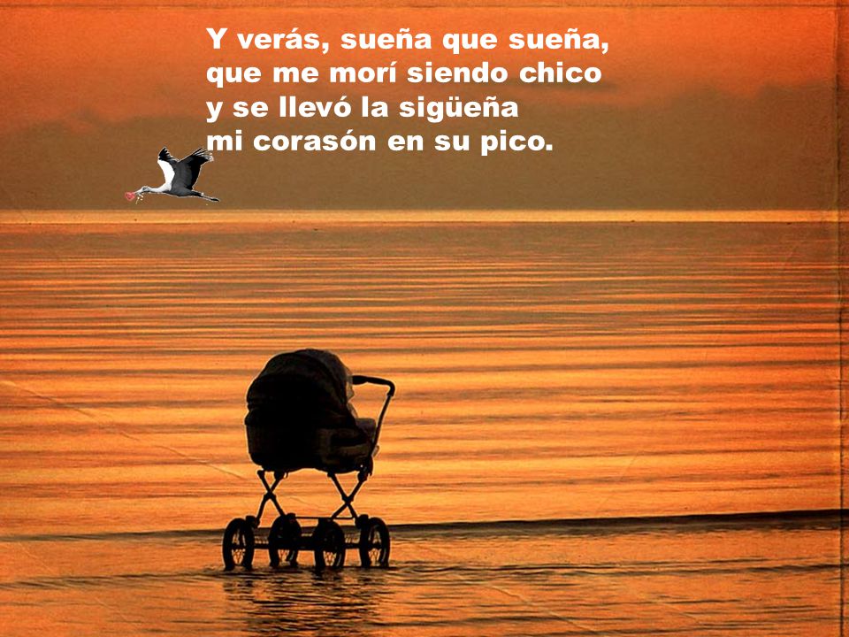Y verás, sueña que sueña, que me morí siendo chico y se llevó la sigüeña mi corasón en su pico.