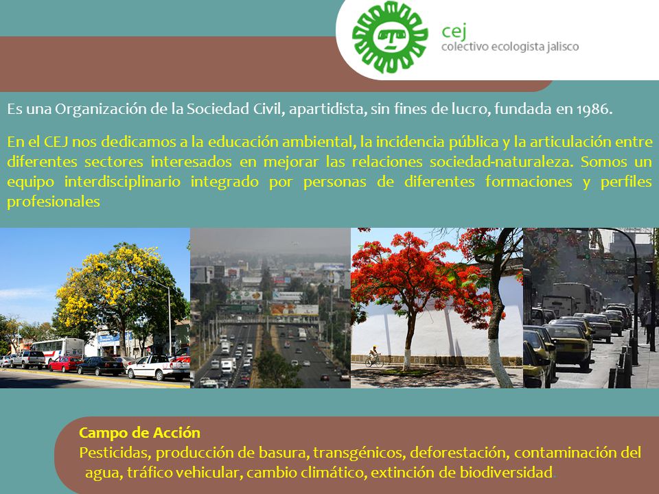 Es una Organización de la Sociedad Civil, apartidista, sin fines de lucro, fundada en 1986.