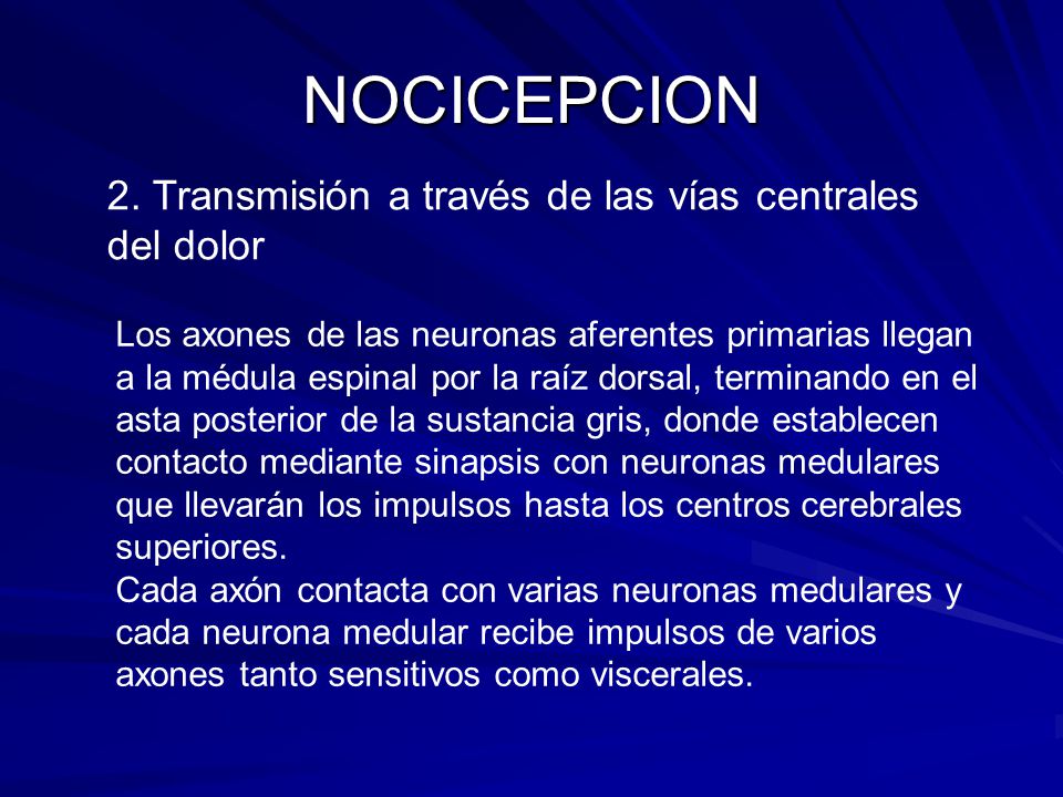 NOCICEPCION 2. Transmisión a través de las vías centrales del dolor