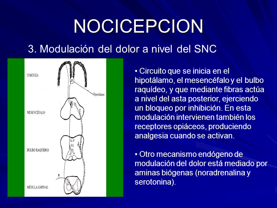 NOCICEPCION 3. Modulación del dolor a nivel del SNC