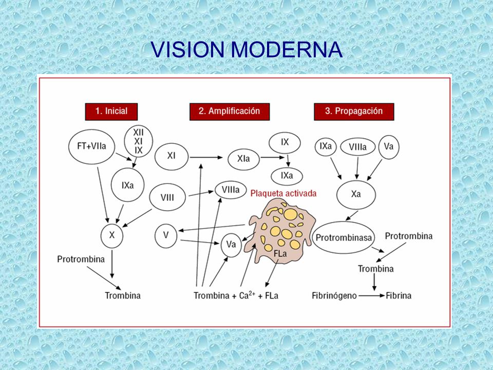 VISION MODERNA FT: factor tisular, principal iniciador de la coagulacion, componente de la membrana celular.