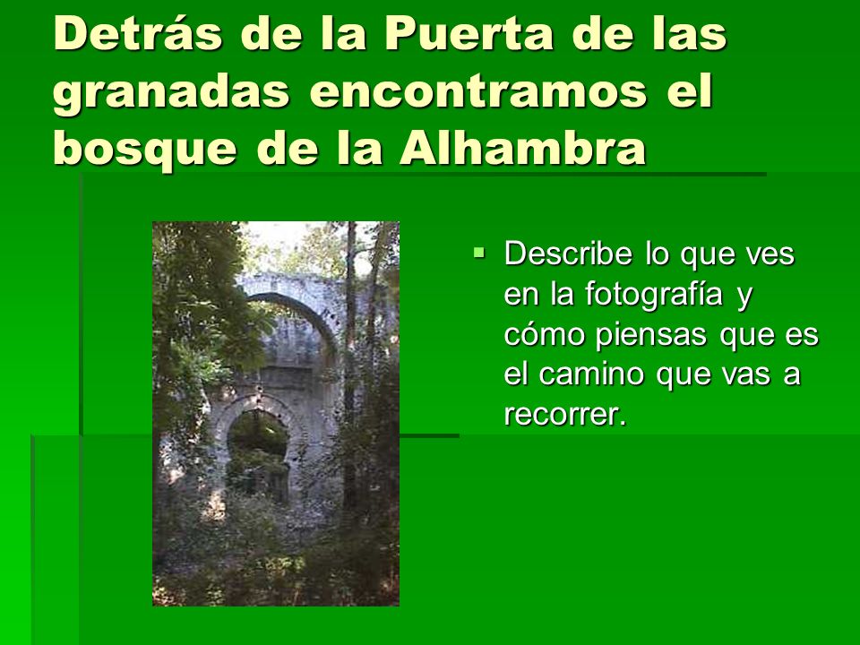 Detrás de la Puerta de las granadas encontramos el bosque de la Alhambra