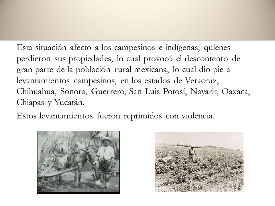 Esta situación afecto a los campesinos e indígenas, quienes perdieron sus propiedades, lo cual provocó el descontento de gran parte de la población rural mexicana, lo cual dio pie a levantamientos campesinos, en los estados de Veracruz, Chihuahua, Sonora, Guerrero, San Luis Potosí, Nayarit, Oaxaca, Chiapas y Yucatán.