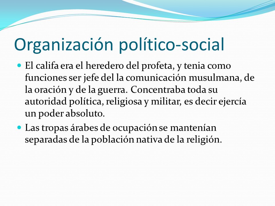 Organización político-social