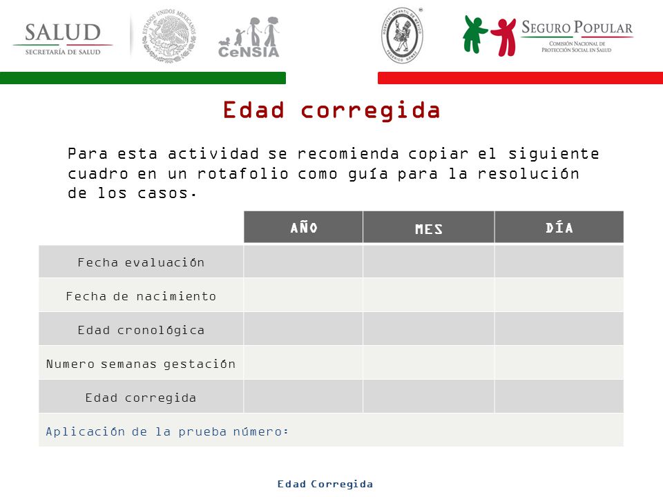 Numero semanas gestación