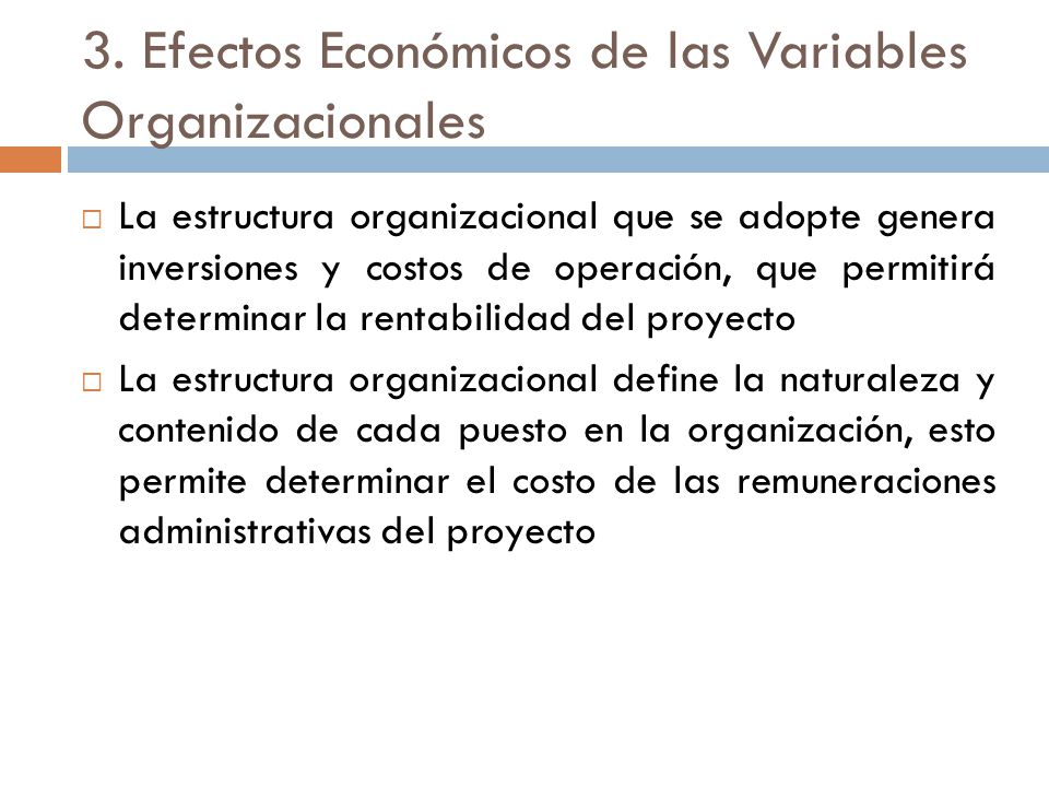3. Efectos Económicos de las Variables Organizacionales