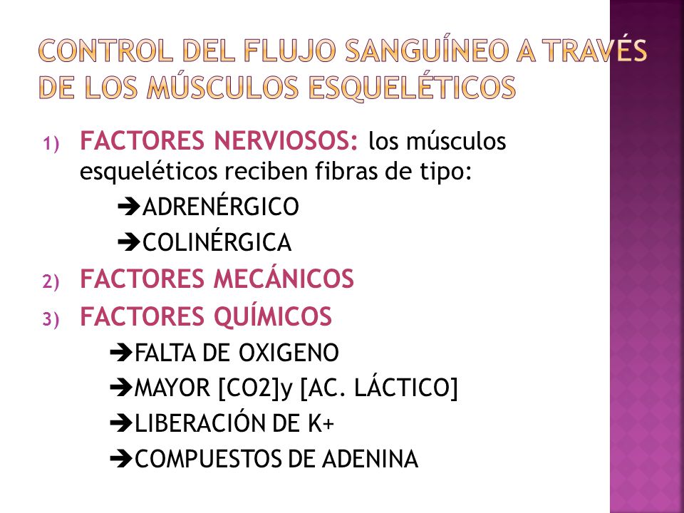 Control del flujo sanguíneo a través de los músculos esqueléticos