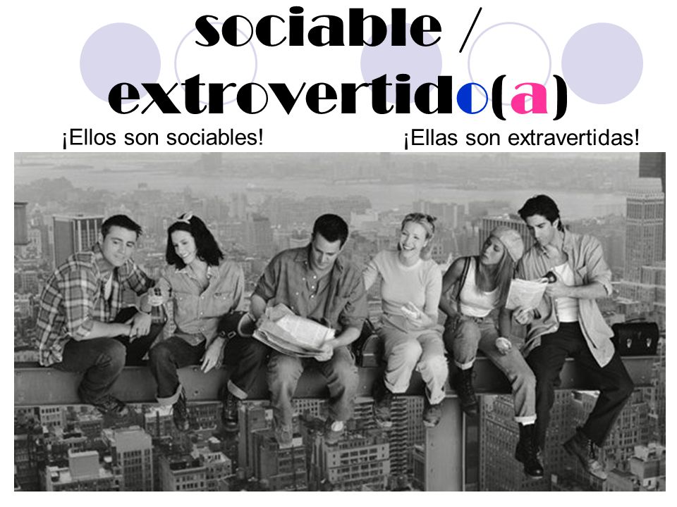 sociable / extrovertido(a)