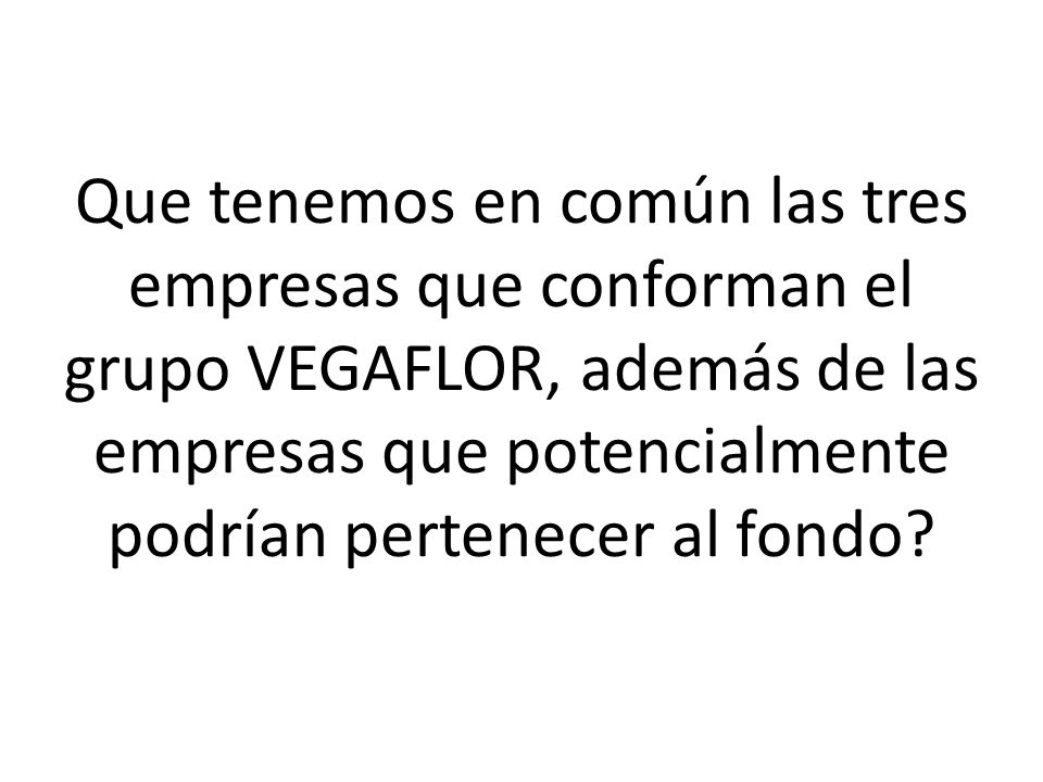 Que tenemos en común las tres empresas que conforman el grupo VEGAFLOR, además de las empresas que potencialmente podrían pertenecer al fondo