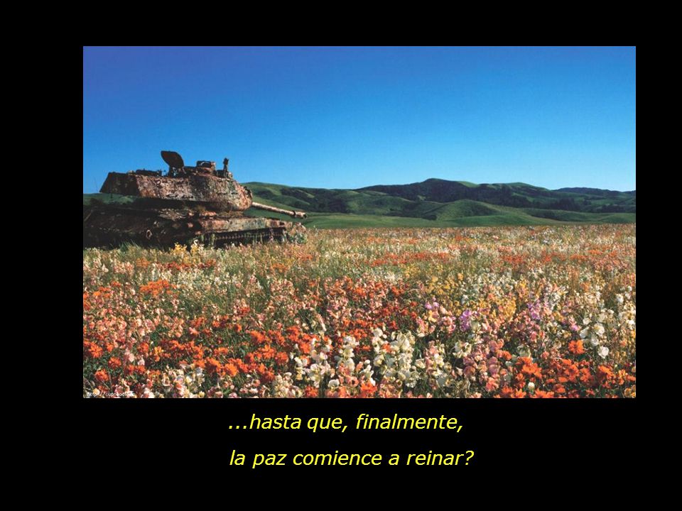 la paz comience a reinar