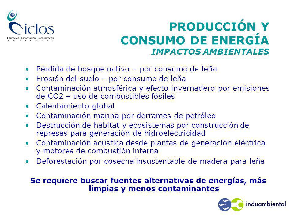 PRODUCCIÓN Y CONSUMO DE ENERGÍA IMPACTOS AMBIENTALES