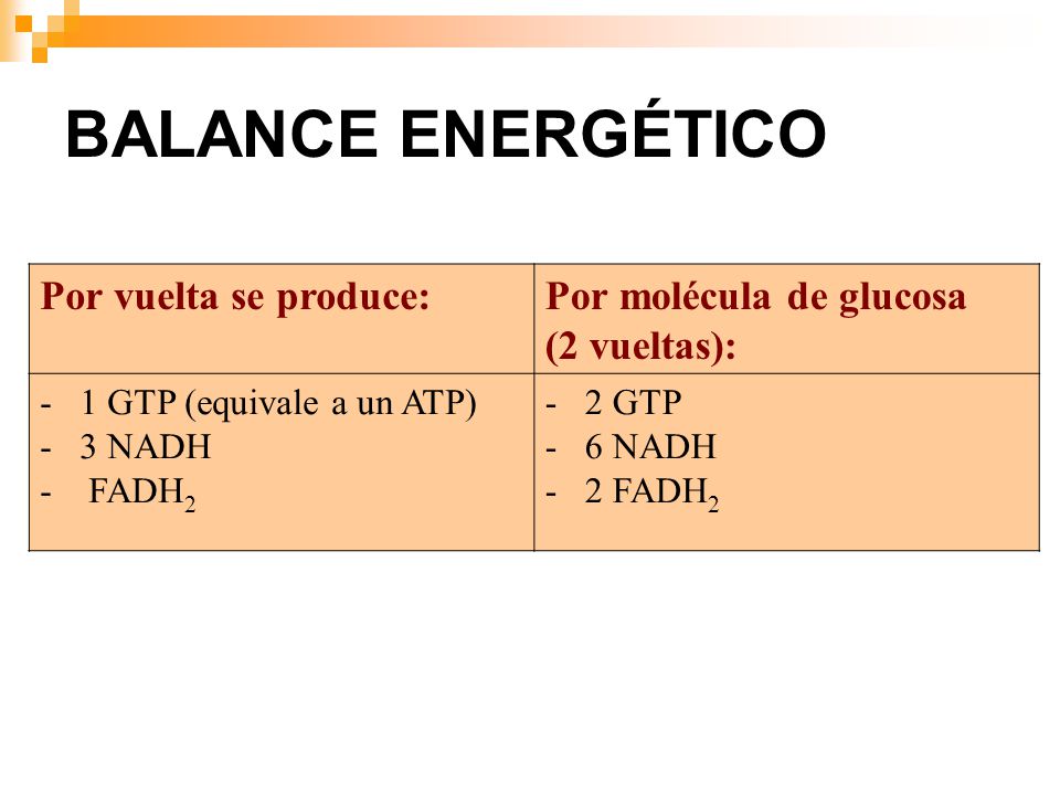 BALANCE ENERGÉTICO Por vuelta se produce: Por molécula de glucosa