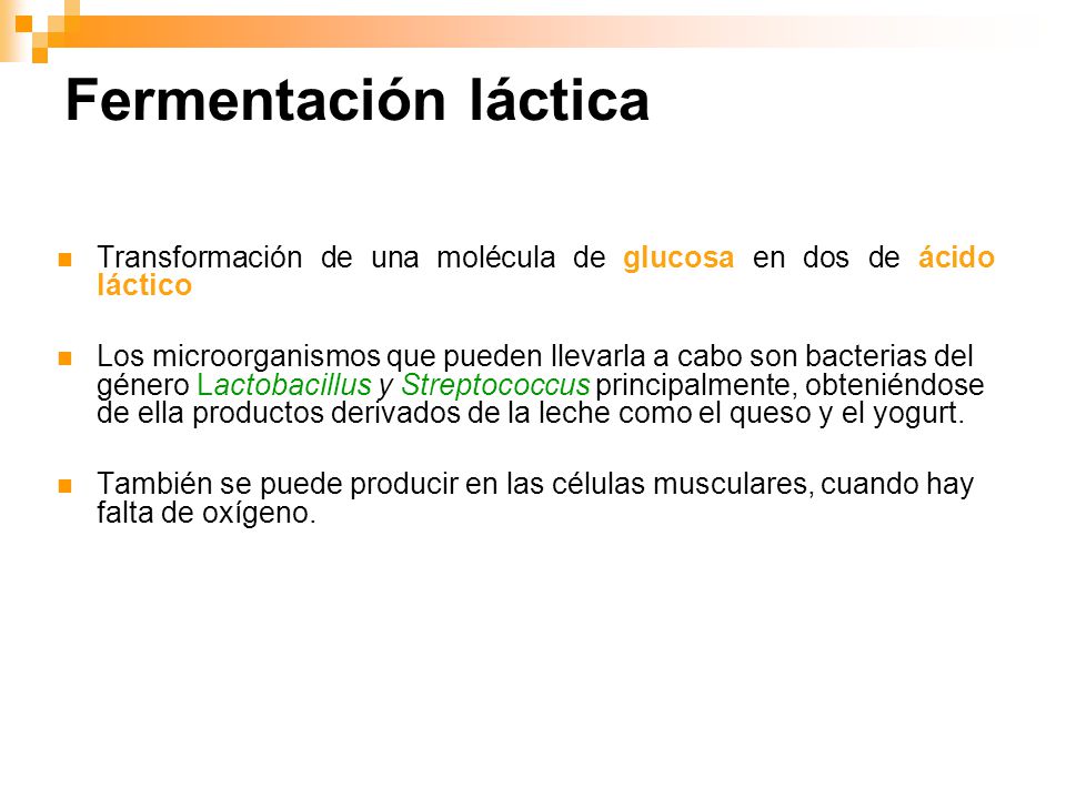 Fermentación láctica Transformación de una molécula de glucosa en dos de ácido láctico.