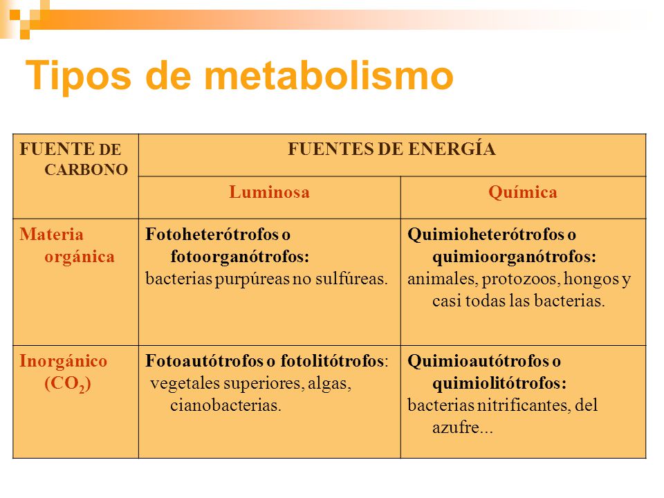 Tipos de metabolismo FUENTE DE CARBONO FUENTES DE ENERGÍA Luminosa