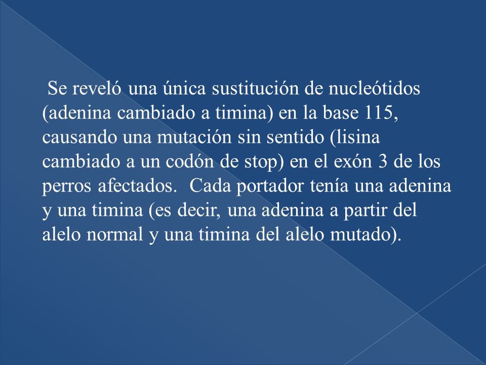 Se reveló una única sustitución de nucleótidos (adenina cambiado a timina) en la base 115, causando una mutación sin sentido (lisina cambiado a un codón de stop) en el exón 3 de los perros afectados.