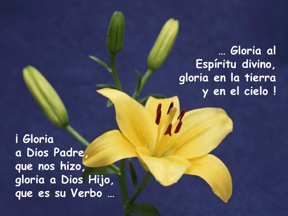 … Gloria al Espíritu divino, gloria en la tierra y en el cielo ! ¡ Gloria. a Dios Padre, que nos hizo,