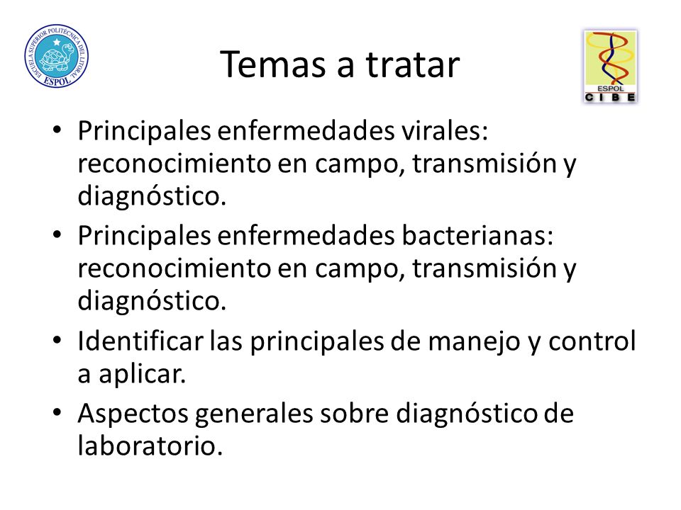 Temas a tratar Principales enfermedades virales: reconocimiento en campo, transmisión y diagnóstico.