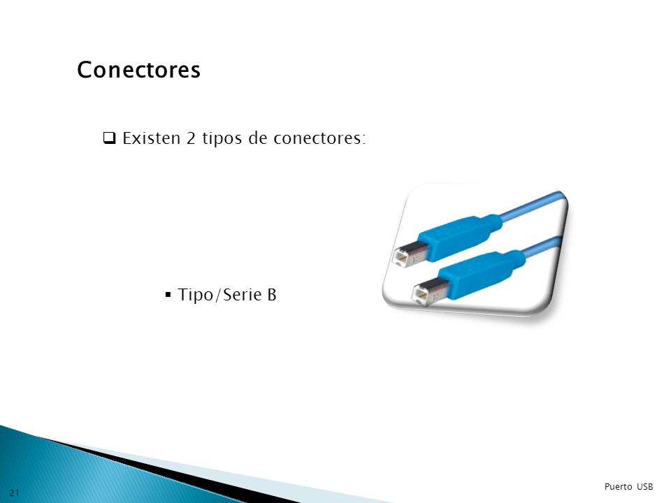 Conectores Existen 2 tipos de conectores: Tipo/Serie B Puerto USB