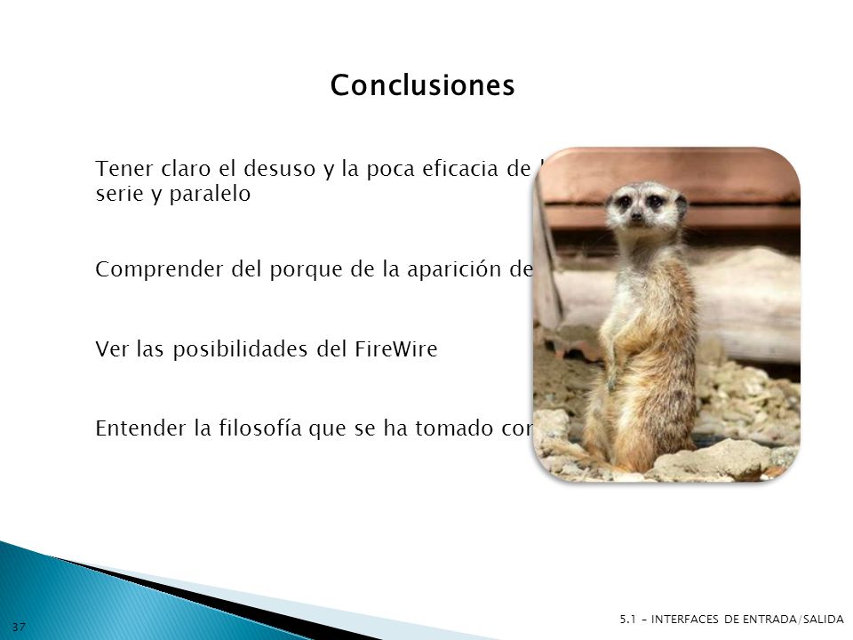 Conclusiones Tener claro el desuso y la poca eficacia de los puertos serie y paralelo. Comprender del porque de la aparición del USB y FireWire.