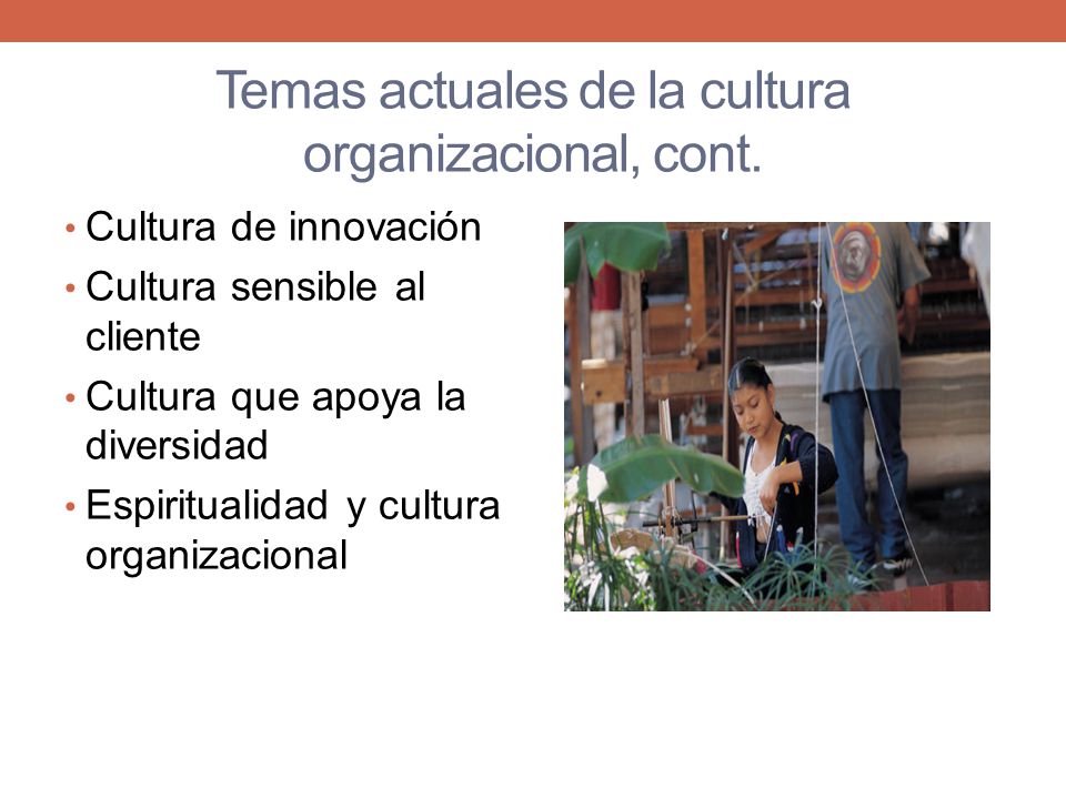 Temas actuales de la cultura organizacional, cont.