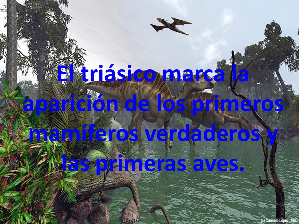 El triásico marca la aparición de los primeros mamíferos verdaderos y las primeras aves.