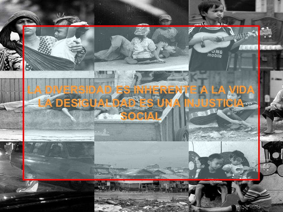LA DIVERSIDAD ES INHERENTE A LA VIDA LA DESIGUALDAD ES UNA INJUSTICIA SOCIAL