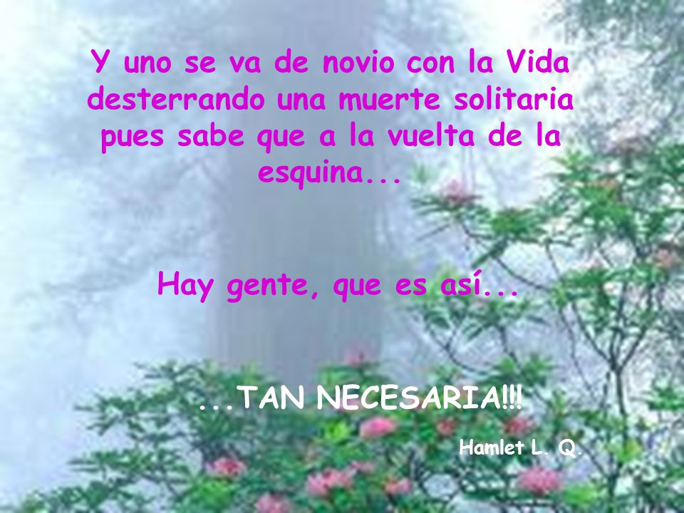 Y uno se va de novio con la Vida desterrando una muerte solitaria pues sabe que a la vuelta de la esquina...