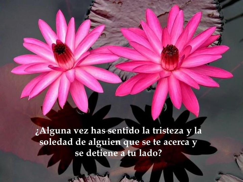 ¿Alguna vez has sentido la tristeza y la soledad de alguien que se te acerca y se detiene a tu lado