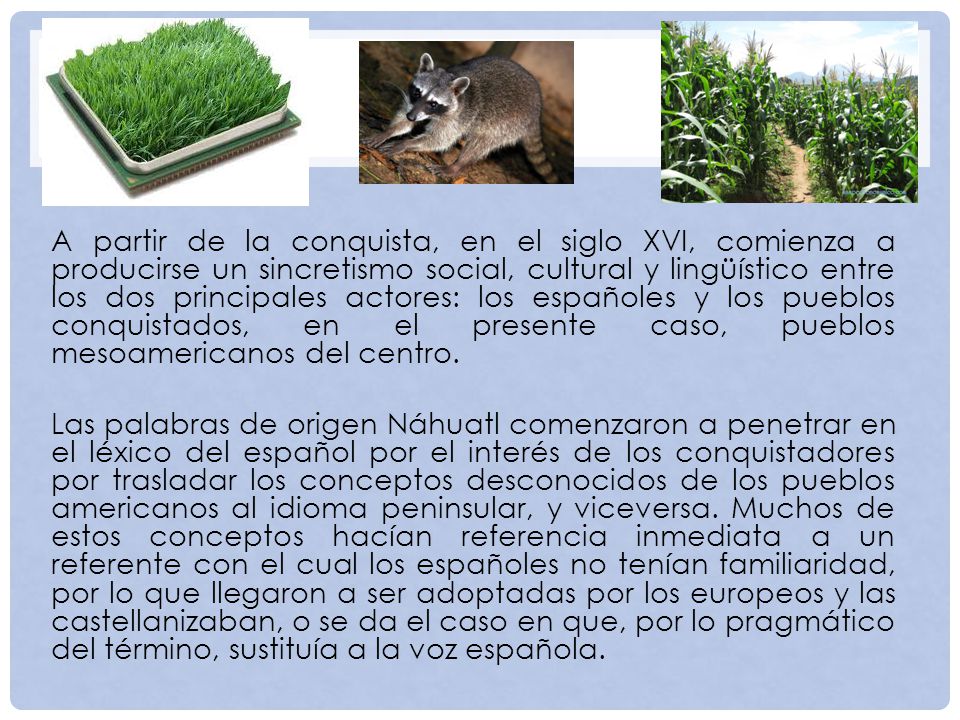 A partir de la conquista, en el siglo XVI, comienza a producirse un sincretismo social, cultural y lingüístico entre los dos principales actores: los españoles y los pueblos conquistados, en el presente caso, pueblos mesoamericanos del centro.