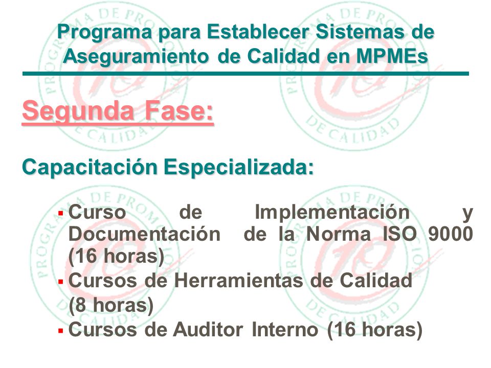 Programa para Establecer Sistemas de Aseguramiento de Calidad en MPMEs