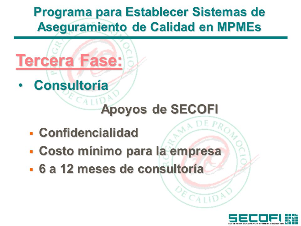Programa para Establecer Sistemas de Aseguramiento de Calidad en MPMEs