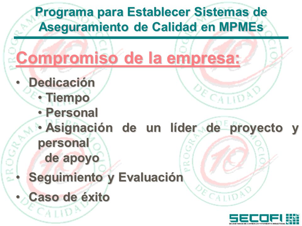 Programa para Establecer Sistemas de Aseguramiento de Calidad en MPMEs