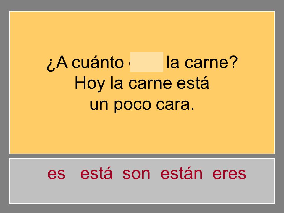 ¿A cuánto está la carne Hoy la carne está un poco cara. es está son están eres
