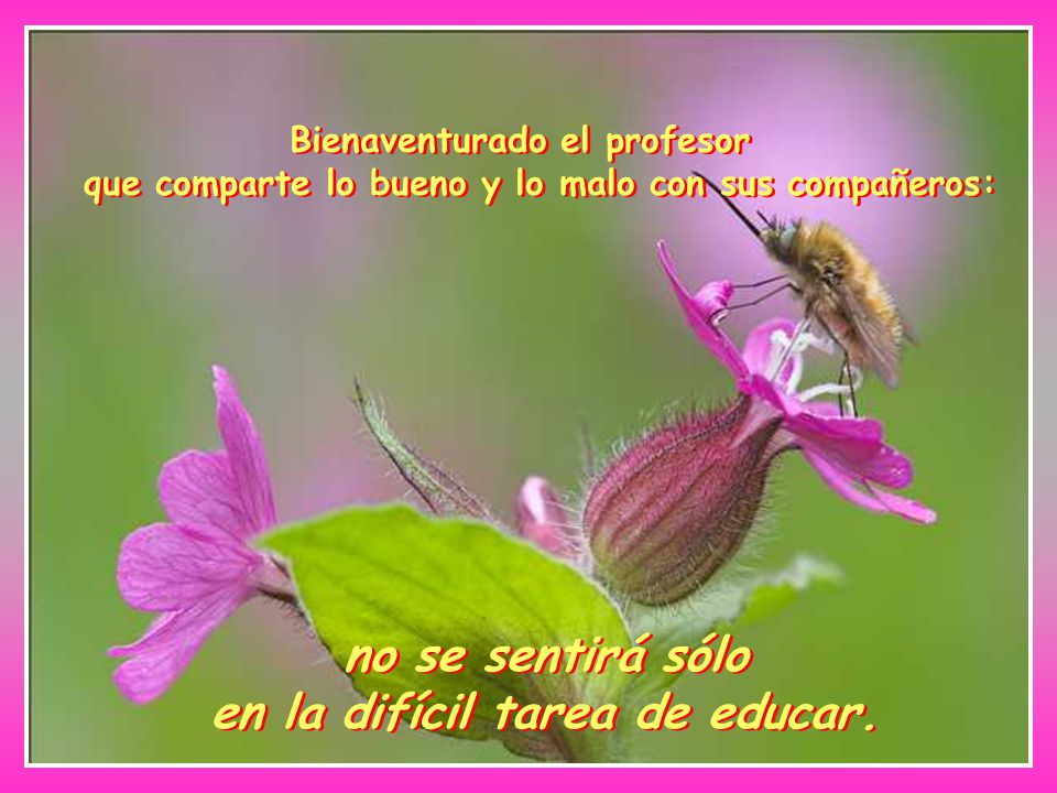 no se sentirá sólo en la difícil tarea de educar.