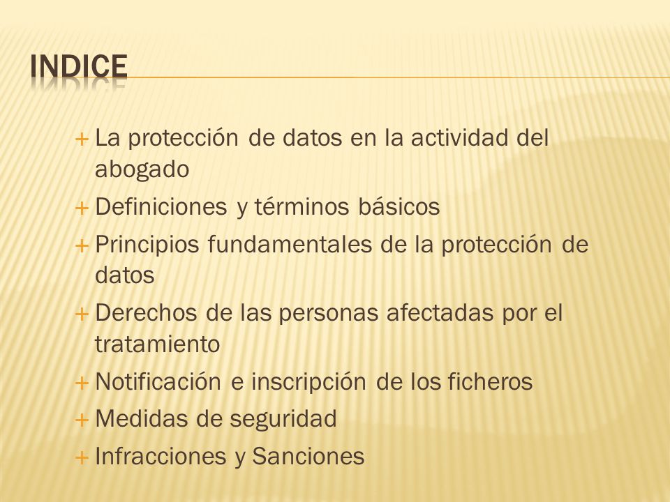 INDICE La protección de datos en la actividad del abogado